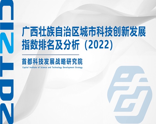 逼操逼网站【成果发布】广西壮族自治区城市科技创新发展指数排名及分析（2022）